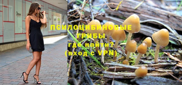 дмт Абаза