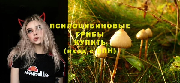 бутират Алзамай