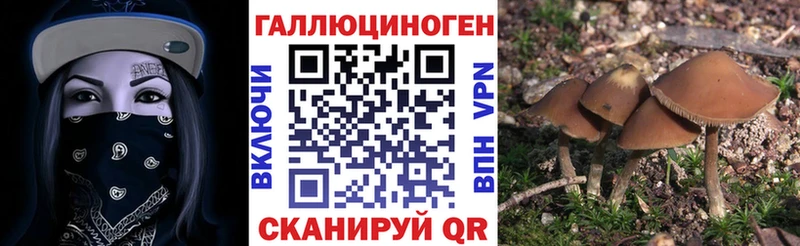 Галлюциногенные грибы ЛСД  наркота  Конаково 
