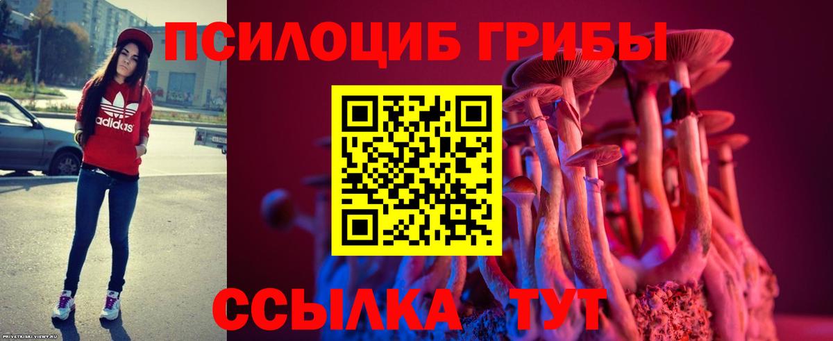 Конаково  Галлюциногенные грибы прущие грибы  Псилоцибиновые грибы мицелий  цена   Вход с VPN 